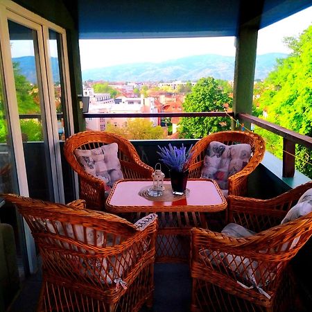 Apartman Jasmin Vrnjačka Banja Extérieur photo